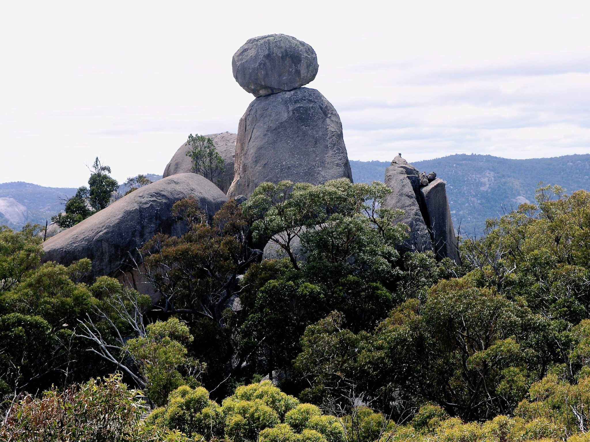 Girraween and Bald Rock National Parks | Nature Bound Tours